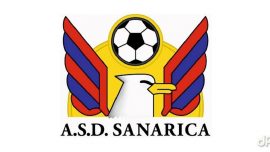 Logo Sanarica 2017