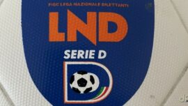 Logo pallone Serie D 2024
