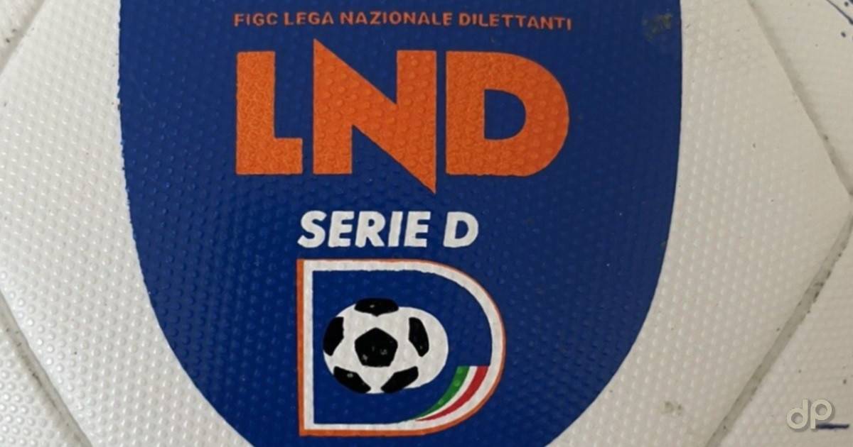 Logo pallone Serie D 2024